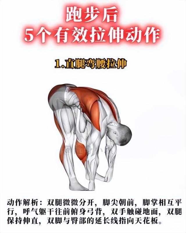 跑步后恢复秘籍：科学放松远离过度训练(图2)