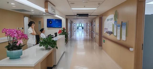 青岛市公共卫生临床中心愈安医养院 打造公立医院医养结合示范样板(图5)