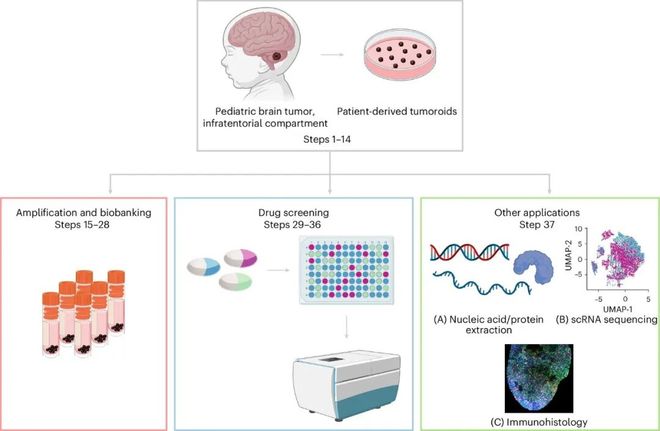 追问daily 实验中的微塑料可能来源于手套；量子计算机将用作虚拟实验室(图4)