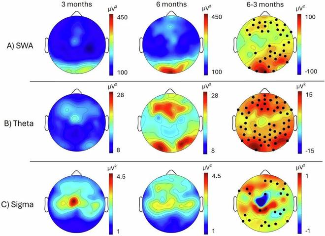 追问daily 实验中的微塑料可能来源于手套；量子计算机将用作虚拟实验室(图5)