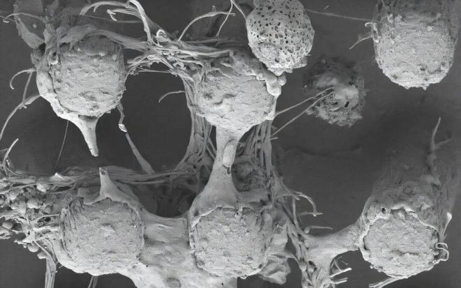 追问daily 实验中的微塑料可能来源于手套；量子计算机将用作虚拟实验室(图3)
