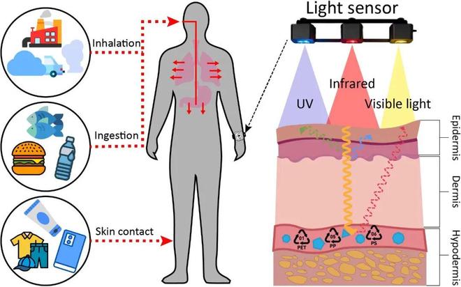 追问daily 实验中的微塑料可能来源于手套；量子计算机将用作虚拟实验室(图6)
