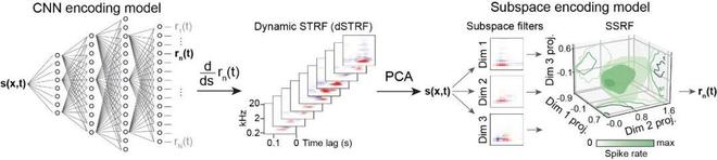 追问daily 实验中的微塑料可能来源于手套；量子计算机将用作虚拟实验室(图8)